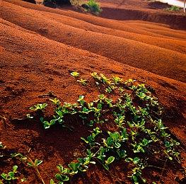 笑死！日本玩家连Switch 2时被夹到手 疼得嗷嗷叫