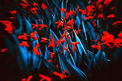 《收获日3》新预告发布 抢劫团伙攻下纽约银行